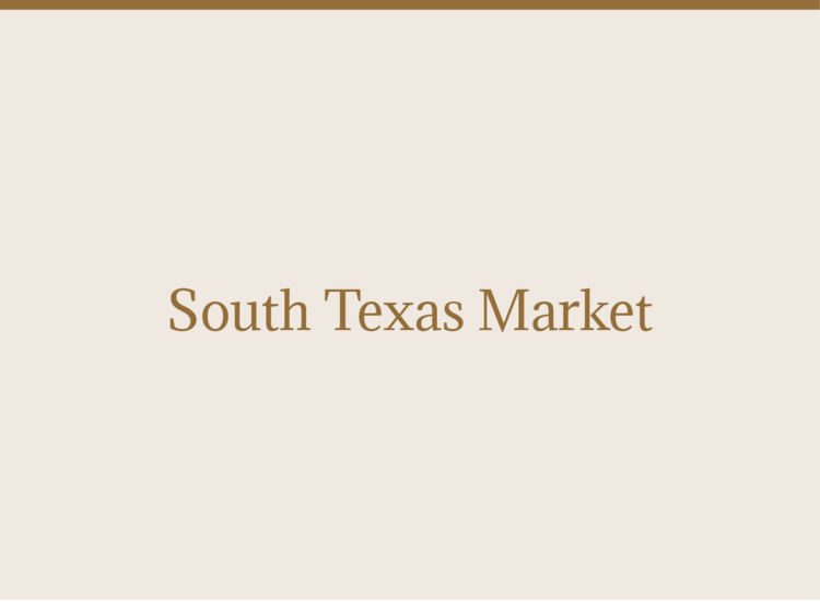 South Texas Market